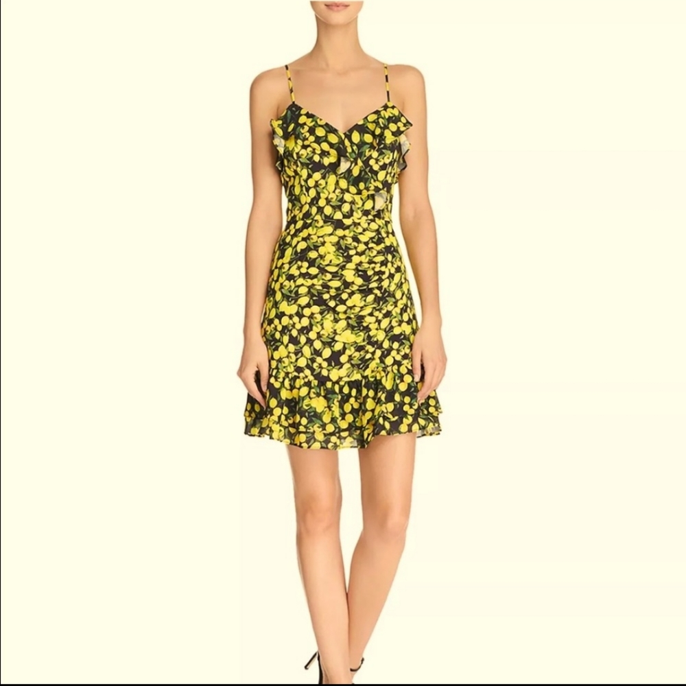 Parker lemons mini dress Sz 2